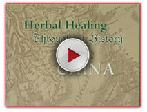 Healthy Healing - Traditional Chinese Medicine